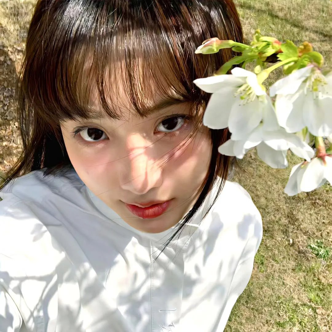 少女革命:思春期默示录